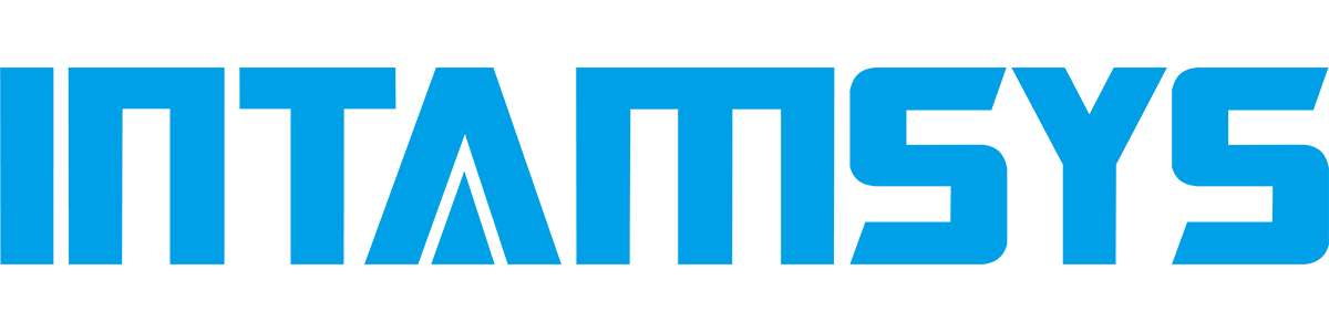 Intamsys
